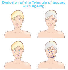 triangle of beauty